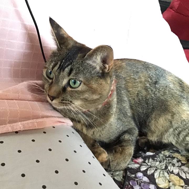 Dfdcb77b 236d 4c17 bfd4 6566f6905c9e 1636693551575