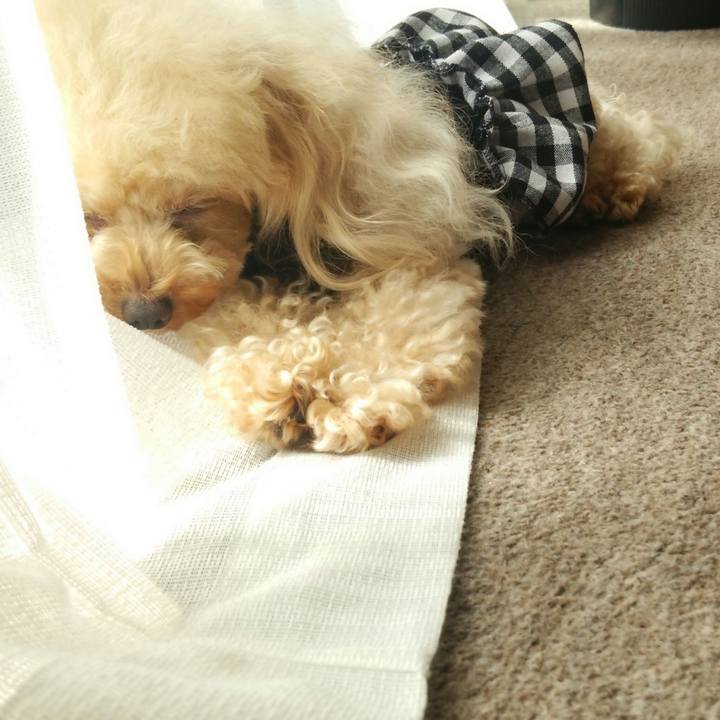 Dfdce160 aaee 4b33 8416 7fcdd15a594d 1537949671636