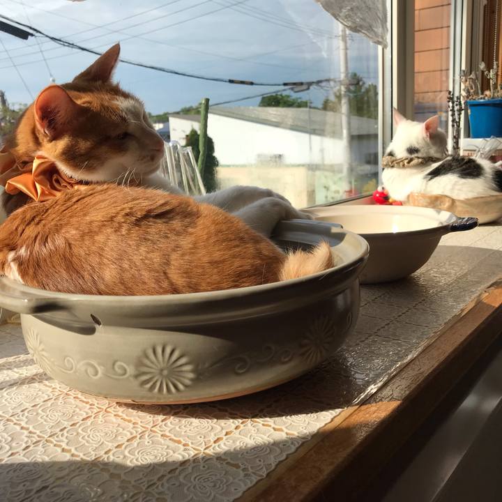 Dfdd0456 1c2d 43ef b929 04df212c1756 1624492950722