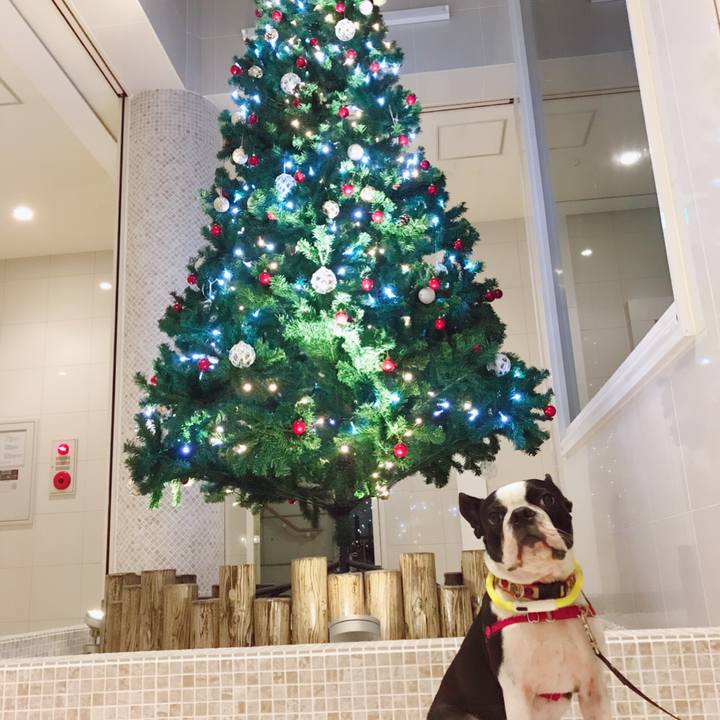 Dfdd6aa0 cd6c 4531 8178 8dabb630f06c 1544017098108