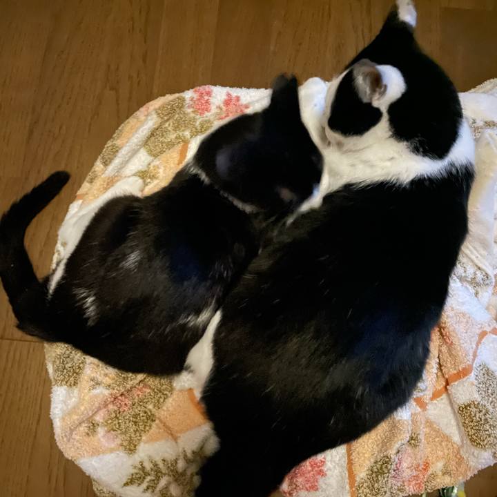 Dfddab87 5790 4d80 bf90 9624cb24fb15 1686338305772