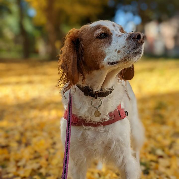 Dfddf264 2033 44f8 b6a9 5fbb01e2fcd3 1638073501059