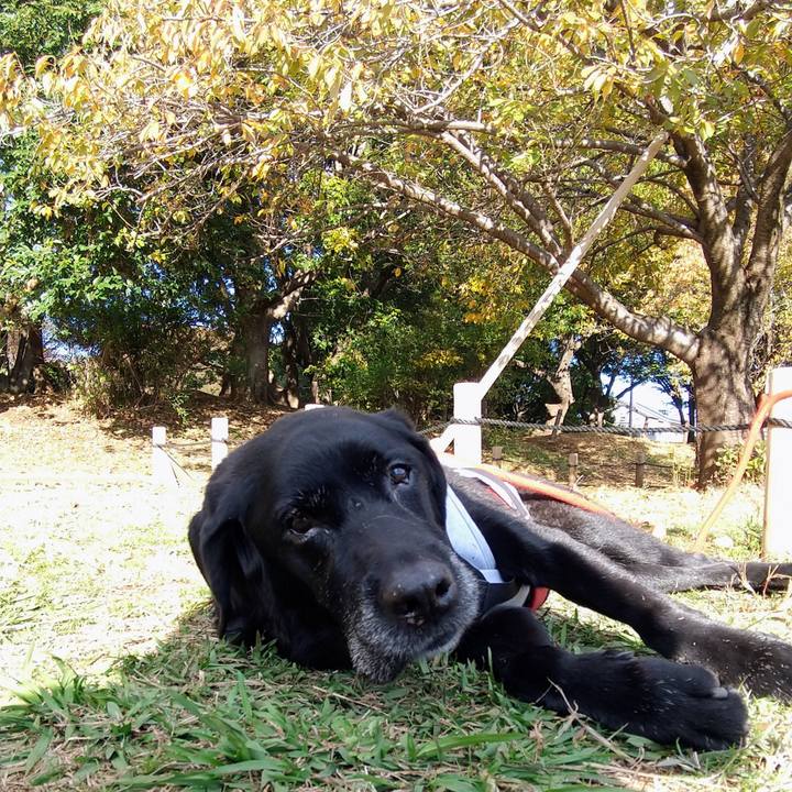 Dfde12b7 14bb 49de 9623 9f234263dc13 1700477758416