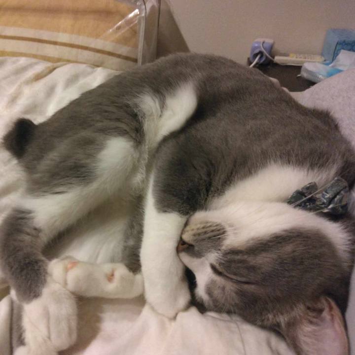 Dfde2796 9799 4b7b ae46 5c838bb4f1fb 1699265122404