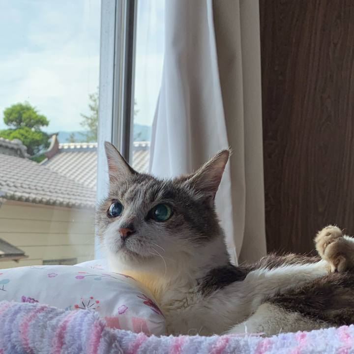 Dfde358d bc5c 4215 84f4 cdb43ed3882b 1682892027520