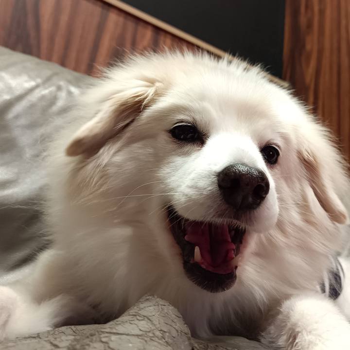 Dfde65a7 2433 48cf 8d23 4ad5d8ed8212 1707603426077