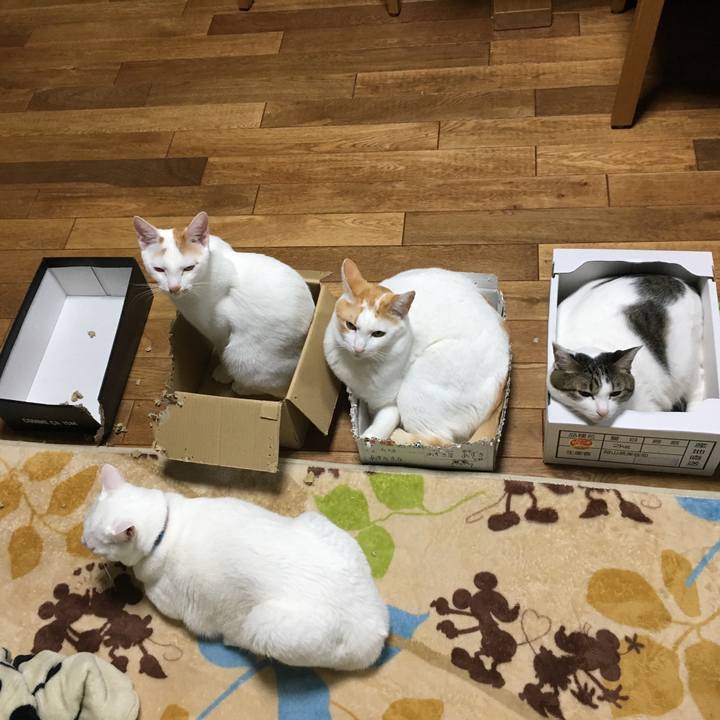 Dfdec841 6283 47ce a452 84c58ae76ee0 1512826943223