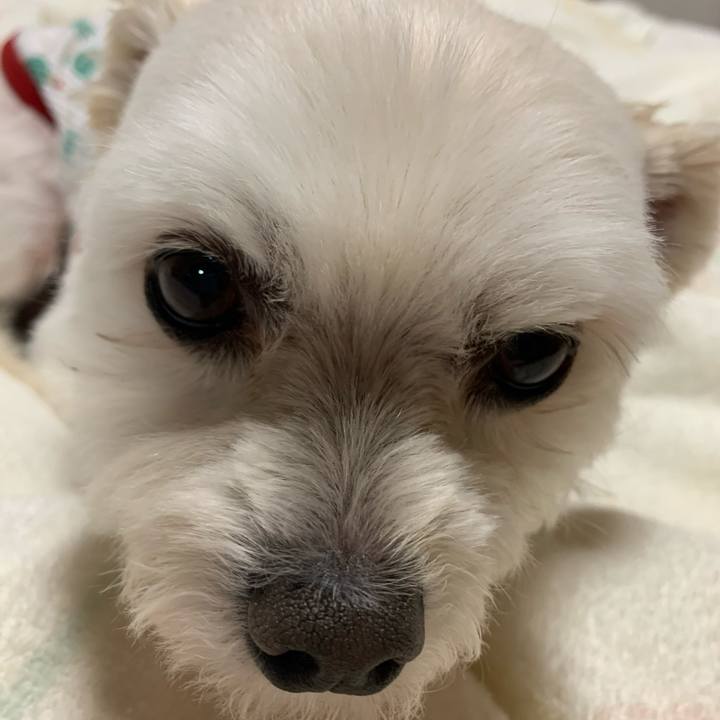 Dfded48b 2e77 41cc ad77 ebababafcf05 1621942187208