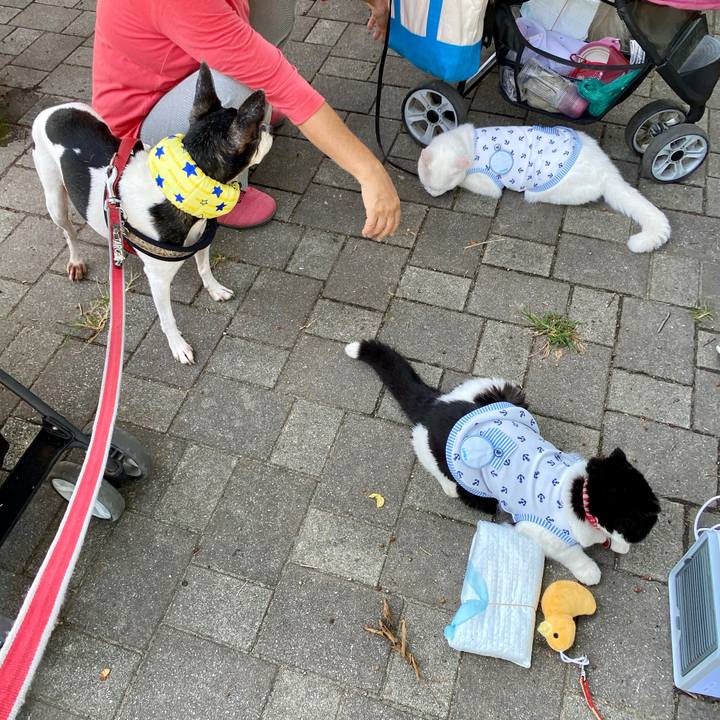 Dfdee082 42a3 44b9 9990 510da9b9197c 1598148437737