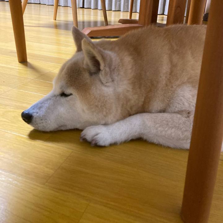 Dfdf2165 4cd1 49e1 8ce1 76d9f5813a41 1698940406841