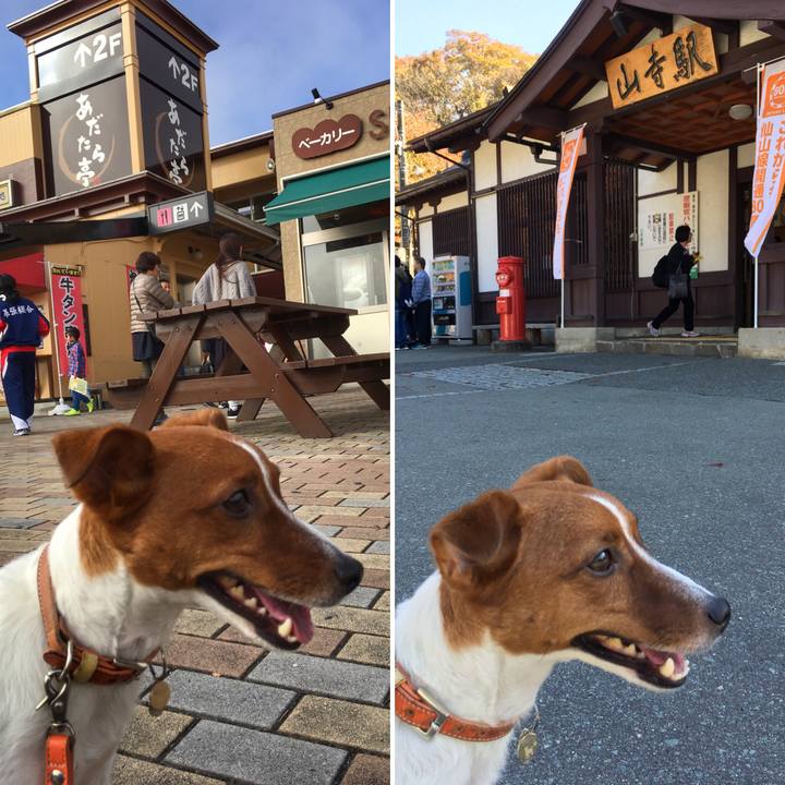 Dfdf3923 6110 4348 a486 10183053e0d0 1509708709867