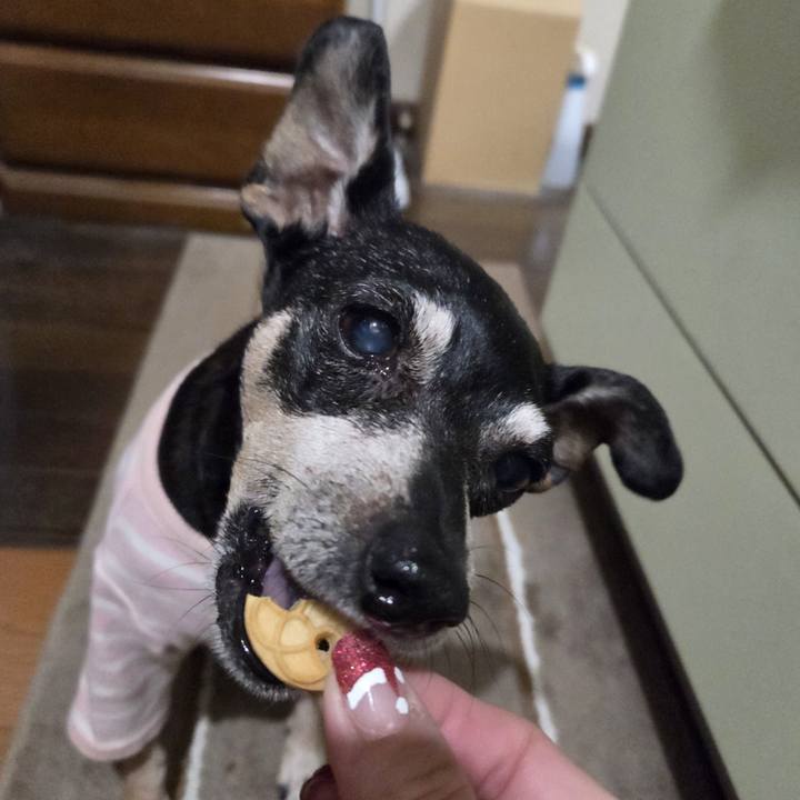 Dfdf4279 b0c8 4a0b 87d3 07903d5c10bf 1764359338748