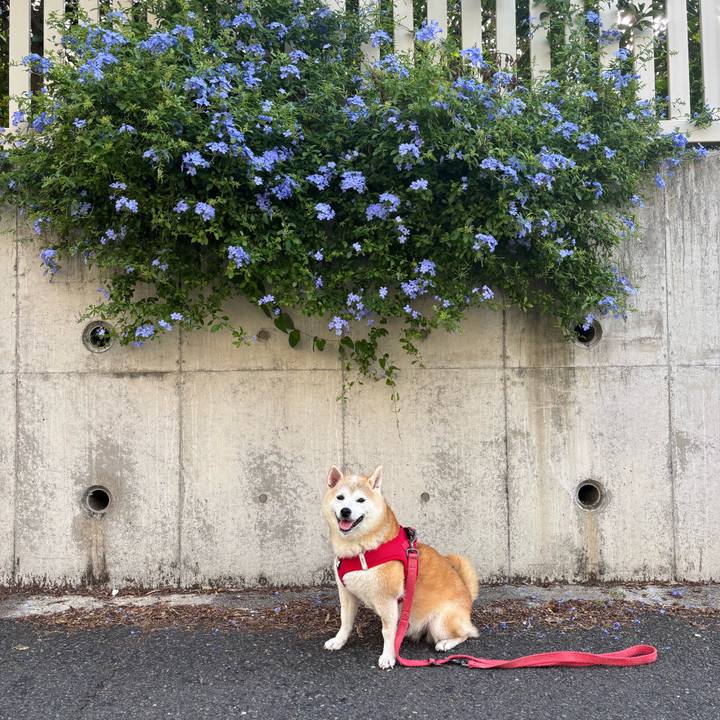 Dfdf4786 bc00 4b8e 8f1a 238cb61796e7 1759184401163