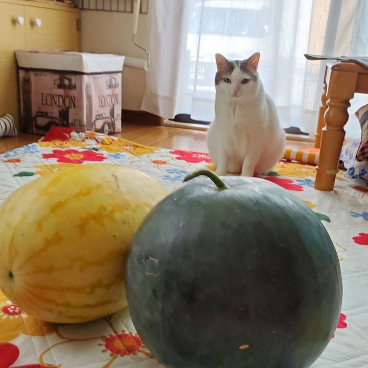 Dfdf5f05 5b8a 4ded ac4a 7718b12bc5ab 1564797244109