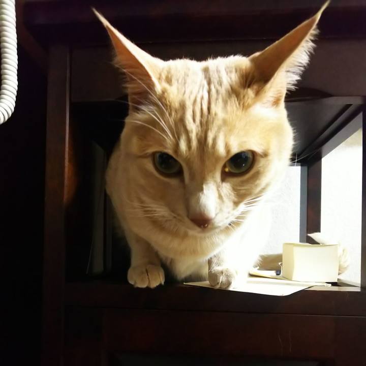 Dfdf8557 0fba 4ee6 a521 a8ebf8355f31 1616153495366