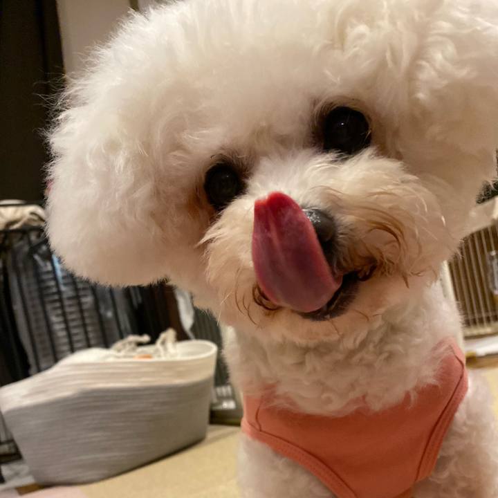 Dfdfb34d 326e 47dd 9f88 de6593cf863c 1763026781688