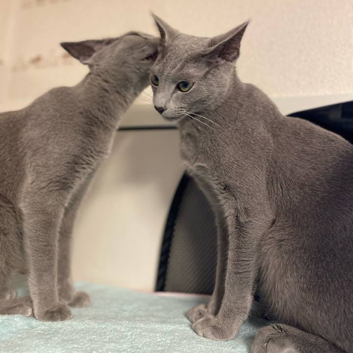 Dfdfbdf2 f147 4021 8a1f a487ec346468 1622631682980