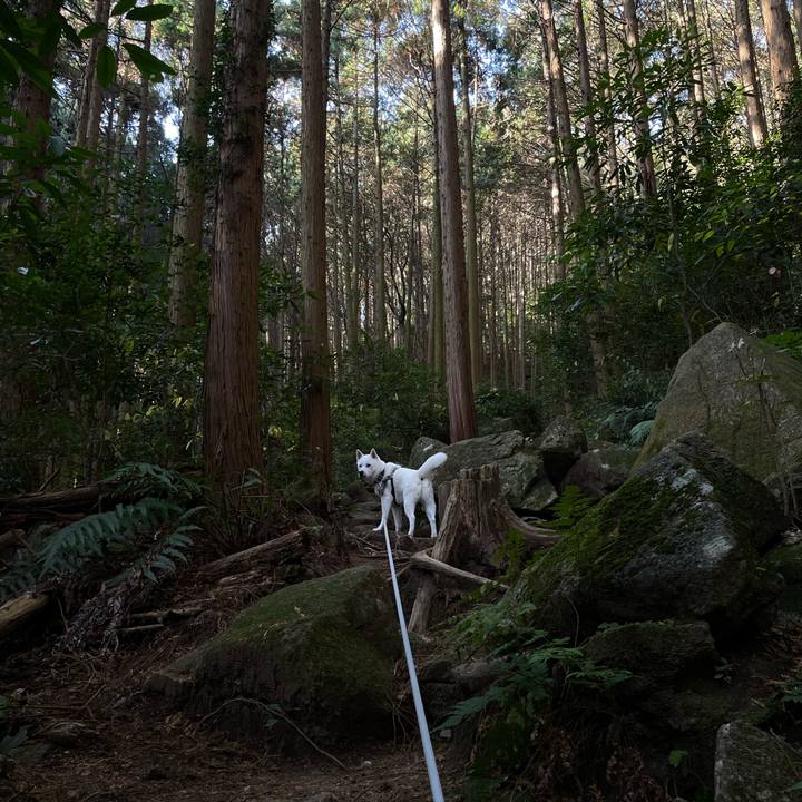 Dfdfc725 8aa0 4ee1 b188 c01534d6c259 1669514288234