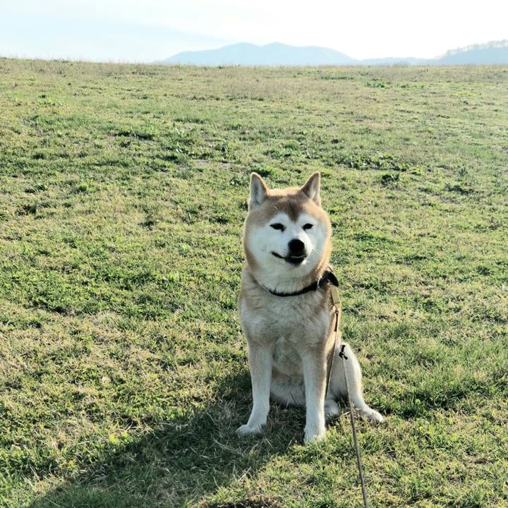 Dfdffcc6 a10a 41e4 90f4 6c8dd8225a70 1619163955941