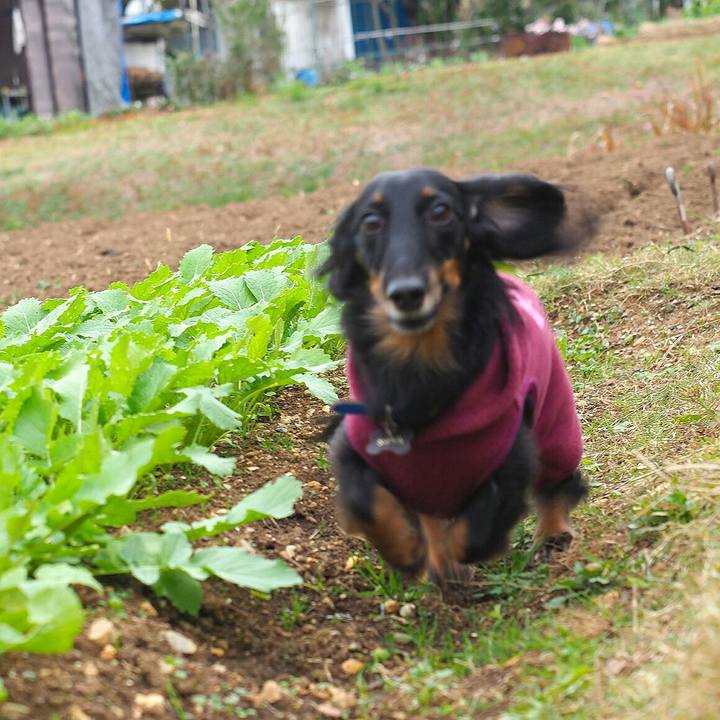 Dfdffd3a 74eb 4699 91e9 0c0f9da5189d 1575967960908