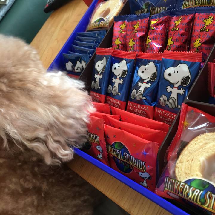 Dfe04df3 bd04 4565 b88b eed58e5defd2 1522569170368