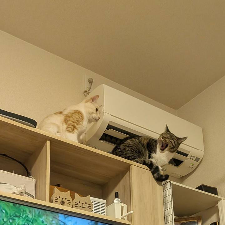 Dfe081eb d1fe 43a1 b47a f25ab624af17 1756726562678