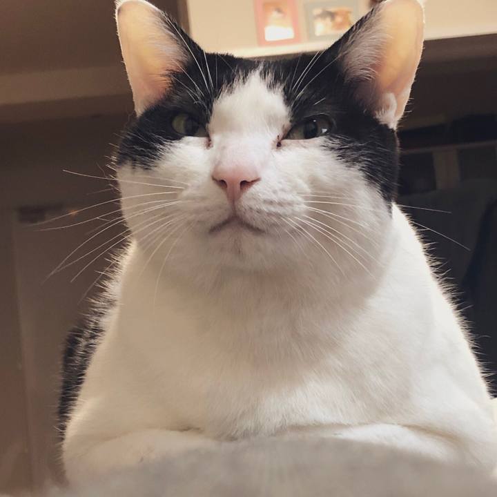 Dfe0b7d5 b94d 4df8 b31b 1c52635578ee 1549451490366