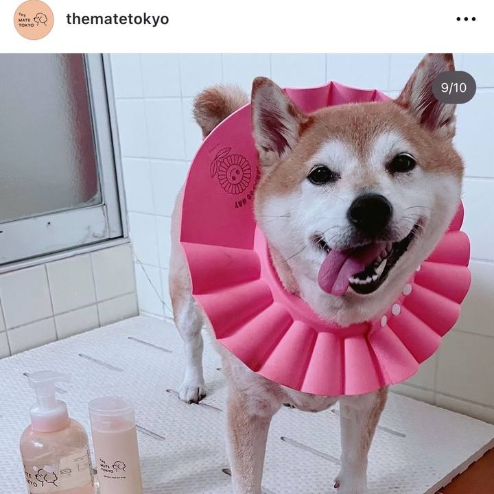 Dfe0e8eb 4566 4e33 99f9 2d7d9b976d8a 1725350351858