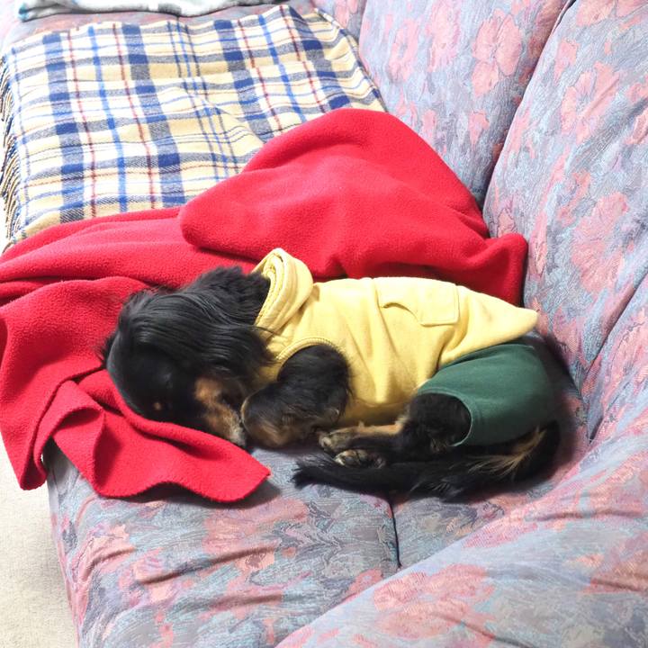 Dfe16bd4 549f 47cc b4a6 f01234b7eb36 1682143449053