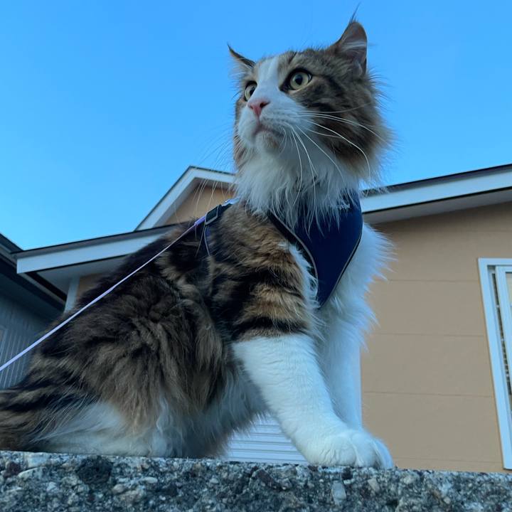 Dfe19689 f22f 4956 a91e 0dcf9011d541 1656421997462