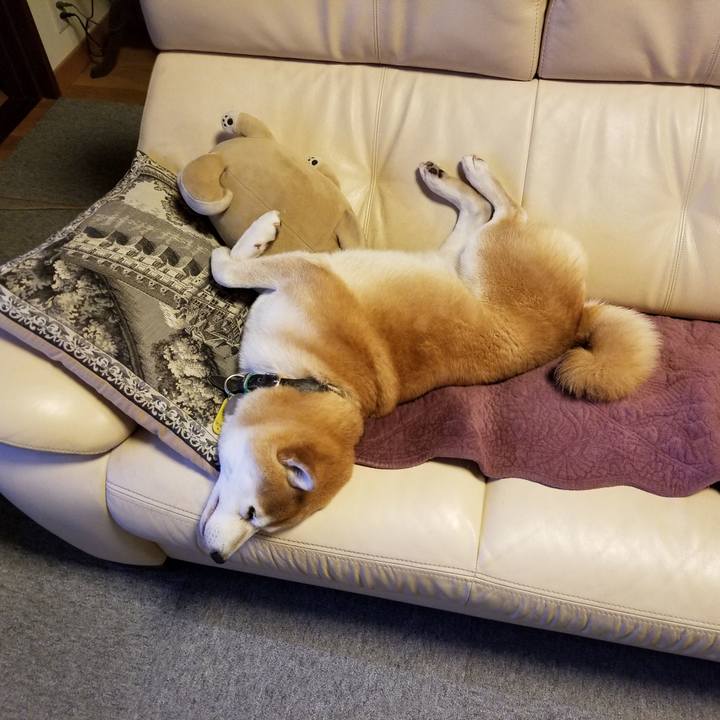 Dfe1c1bb d777 470c 9087 6b3566dfee45 1604918378395