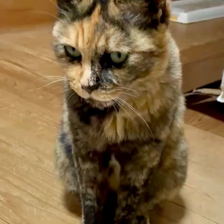 Dfe1fe2b f5b6 4fd4 8960 189ad0f08fe2 1753437510162