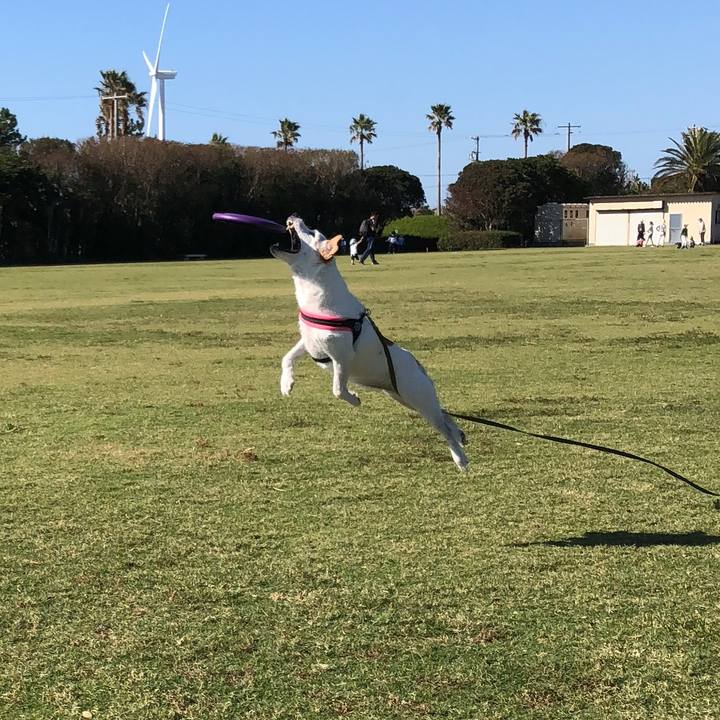 Dfe2061f fe70 4931 b231 3bd3dcfb2990 1540113401016