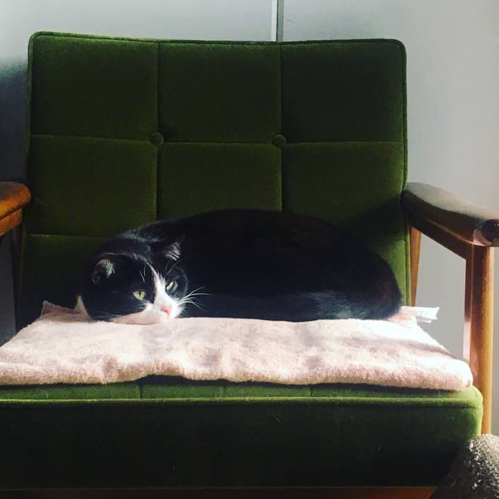 Dfe23397 94e2 4617 822a b7ccc11be6e3 1651669320020