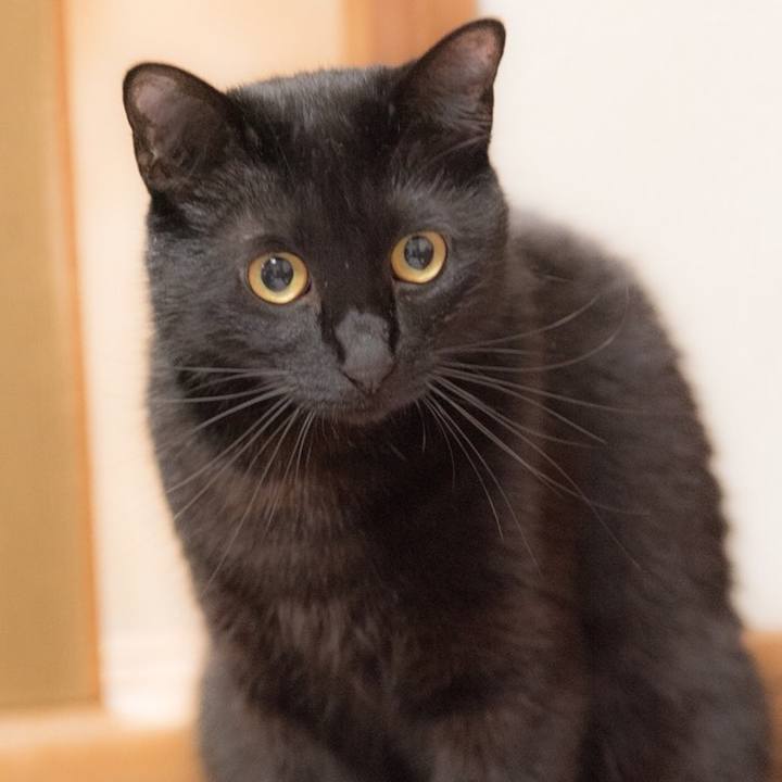 Dfe25338 e412 42ad 839d 783e510a1748 1554744740887