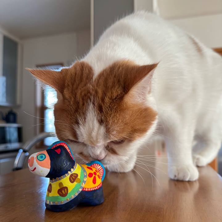 Dfe2661a 1a4b 4d9e 9f8e 745b857d6360 1764814981647