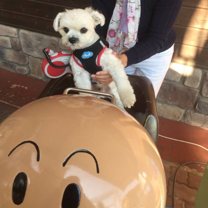 Dfe29be3 c0c2 48cb a808 83057a1b5918 1509364269209