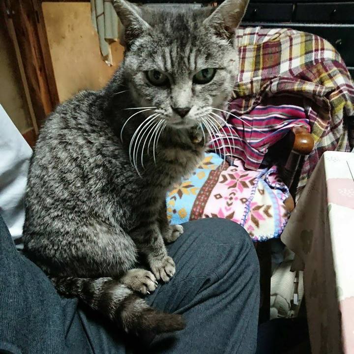 Dfe2cc79 7265 4fe2 9e66 439beeb7b0ea 1576833635223