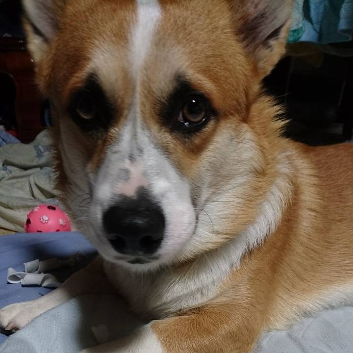 Dfe2e8ed 43e8 4638 86b4 cae320c637d8 1591141565701