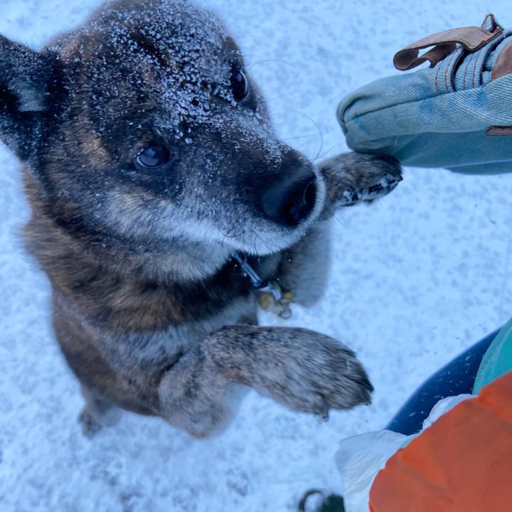 Dfe2f3b0 cd24 45ac b2a9 b07433ea6c10 1609369640858