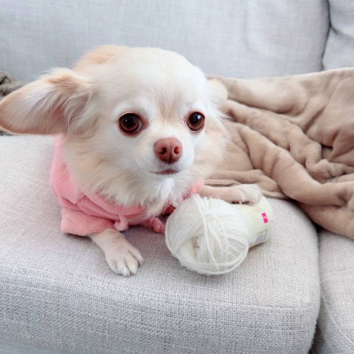 Dfe33495 c937 4cbe 85b0 1e5602f26c7f 1701846617634