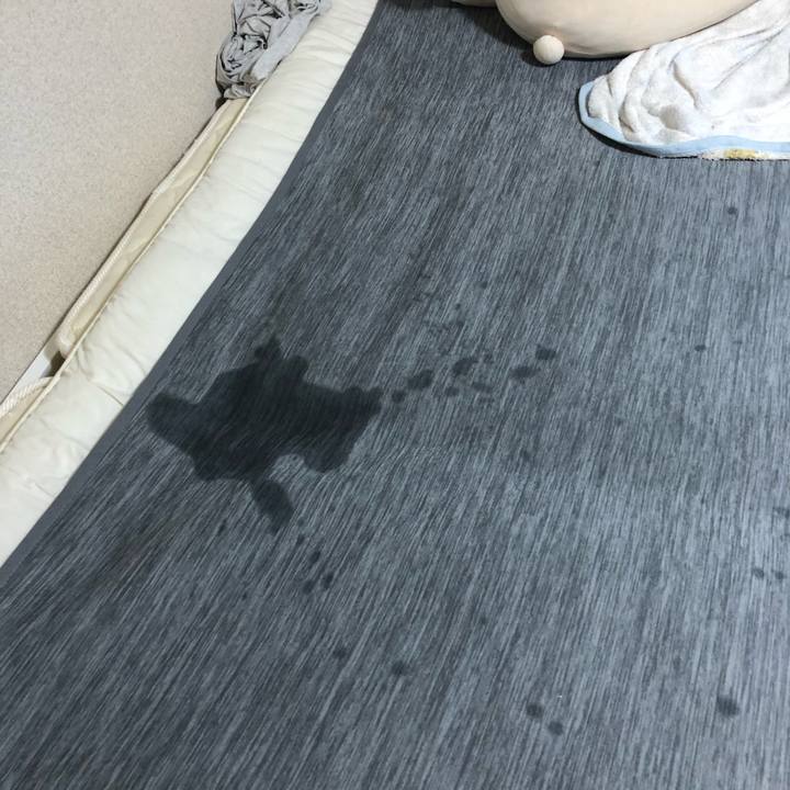 Dfe34bd7 fcf5 4fd0 a703 855aea52d80c 1534150423554