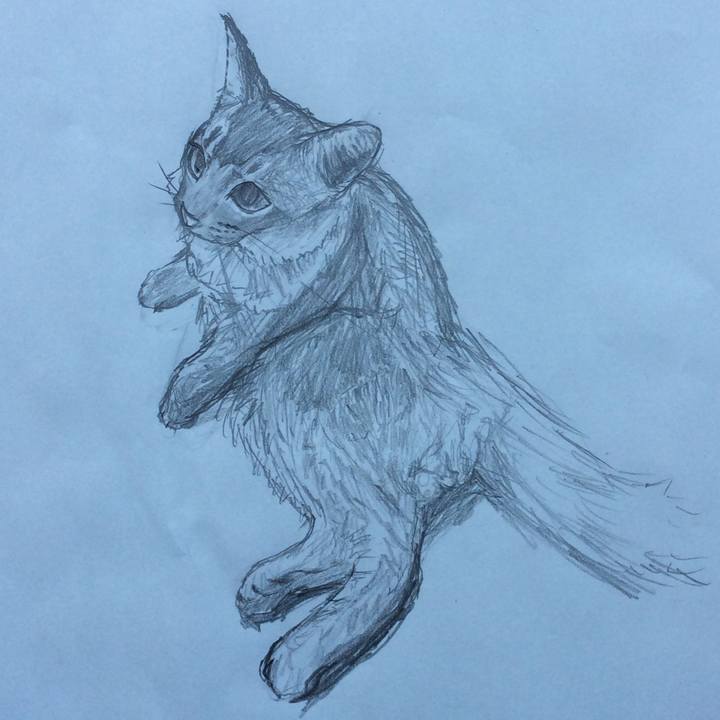 Dfe36f95 cc9b 4309 81ca 4f11d3f05829 1590639134884