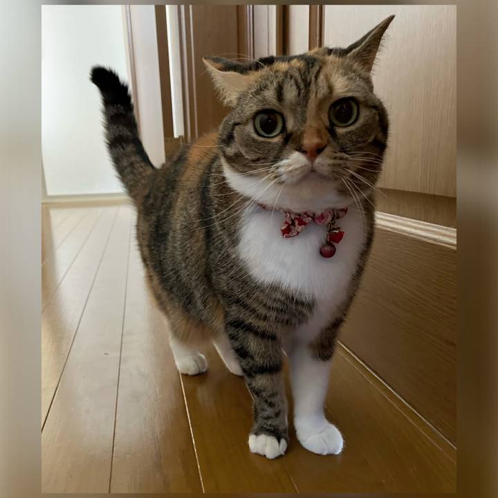 Dfe37613 b5a5 4996 9567 6337a2704193 1763951899697