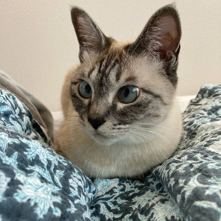 Dfe39723 2ddd 43b5 b504 b90bca1eb1fc 1621814002452