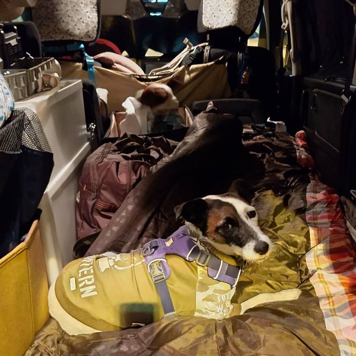 Dfe3bc1f 276d 4540 913e 6be8236a203d 1635028053011