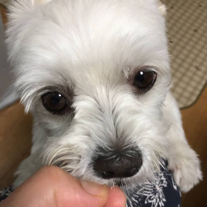 Dfe3fb30 8492 43c5 9f4f b5df3802510e 1565521623790