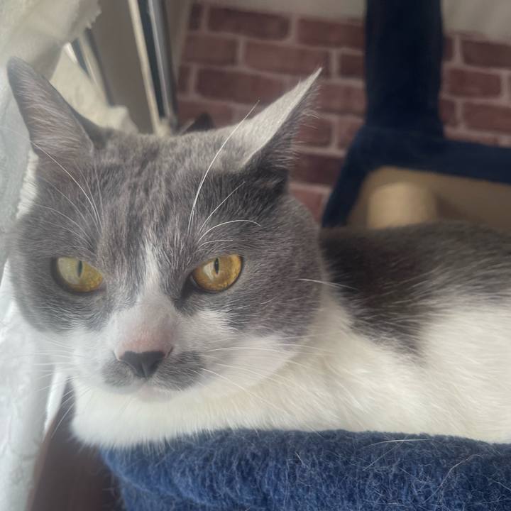 Dfe43bfa e48a 4eda 9b7e 9f85a45586ab 1650675555538