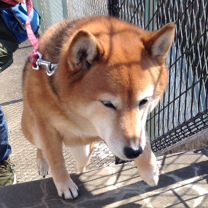 Dfe44ae4 cbf9 48fa 9aae 7bdf3b946d16 1551498182091