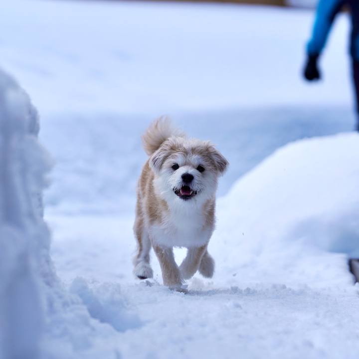 Dfe45cdd 5824 44c7 a786 af6a9fc4df9d 1770795162862